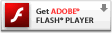 flash palyer